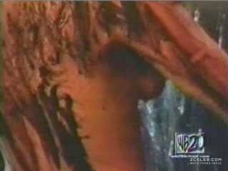 Джина Ли Нолин